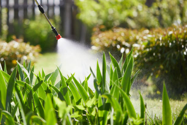 24/7 Emergency Wasp Removal experts in Huntington Woods, MI