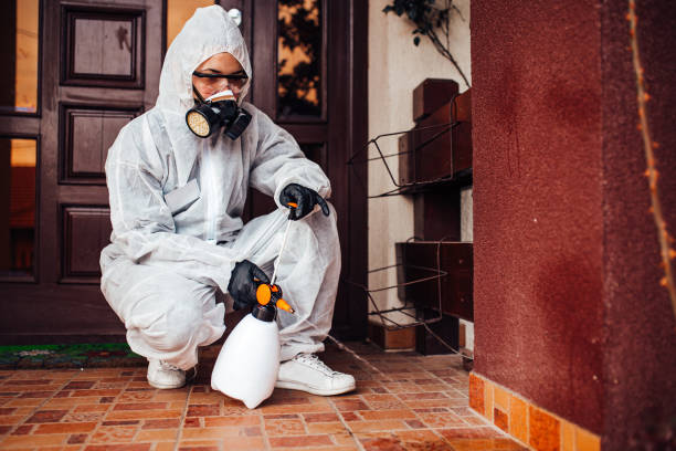 Reliable Wasp Removal contractor in Huntington Woods, MI by Show Me Pest Control
